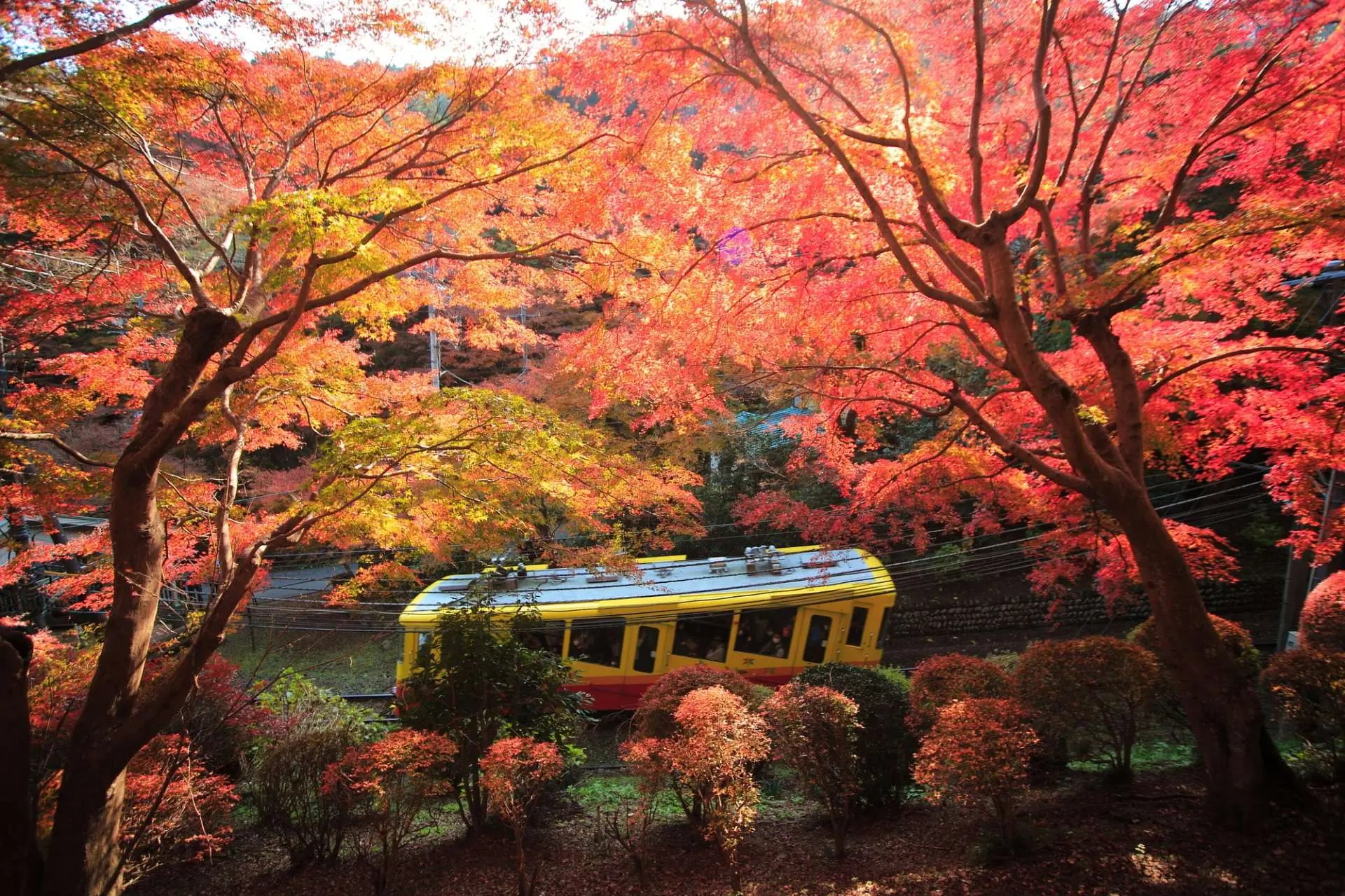 🚠 타카오산 케이블카 기요타키역 (타카오 토잔 케부루 키요타키에키) 이미지 7